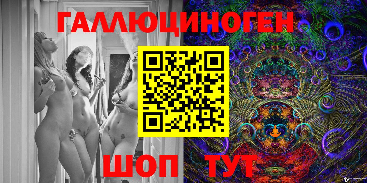 Галлюциногенные грибы Psilocybine cubensis Камышин